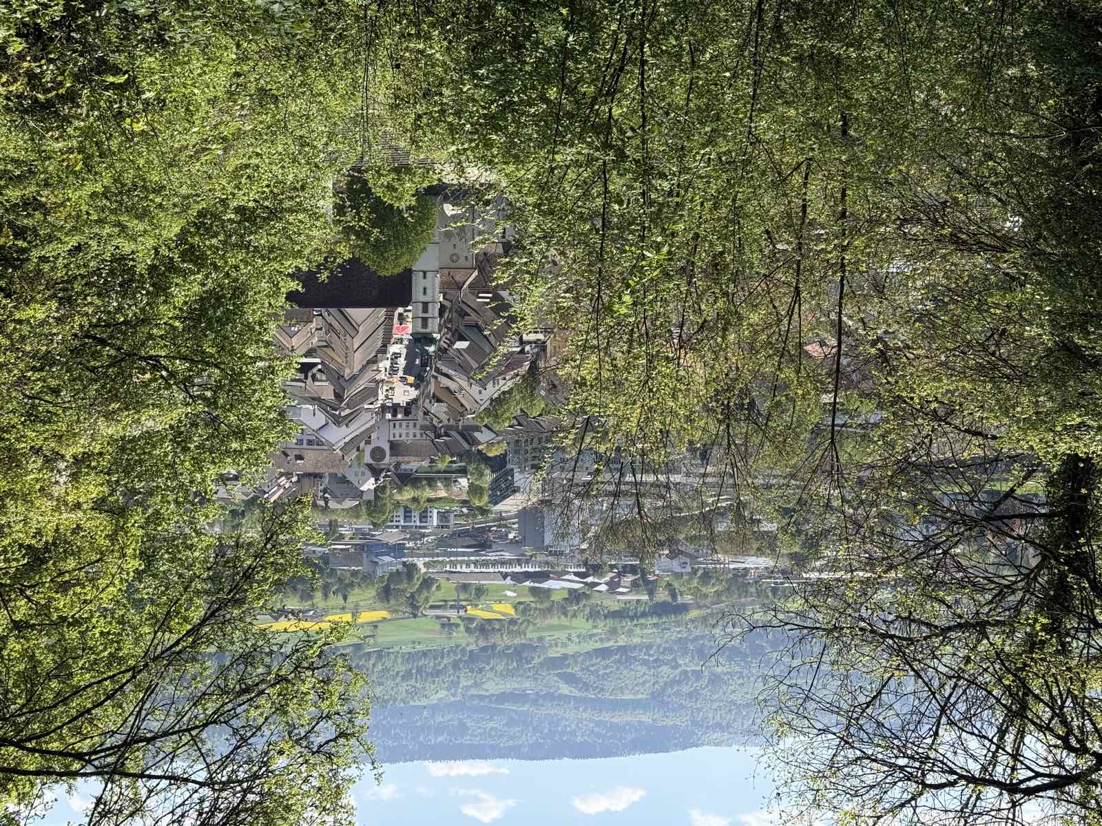 Blick auf die Altstadt von Laufen zwischen Bäumen