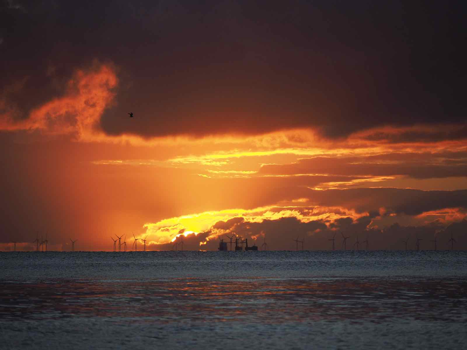 Sonnenuntergang über dem Meer mit Windkraftanlagen am Horizont