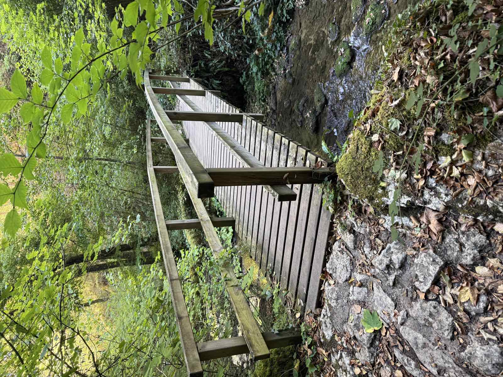 Holzsteg über einen Bach im Wald